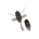Imitații de broaște și insecte