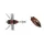 Duo Realis Shinmushi 4,0cm 5,7gr CCC3219 Beetle Imitatie de Gândac