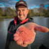 Fjuka Sensate™ Powder Fish Accelerant Red Pulbere Atractantă Roșie 100gr
