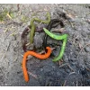 Iron Claw Drop Stuff Crawler OR 7,5cm Plasztik Csali 22db