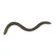 Iron Claw Drop Stuff Crawler WM 7,5cm Plasztik Csali 22db