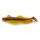 Iron Claw Wave Glider LPK 13cm 17,7gr Lebegő Gumihal 4db