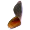 Iron Claw Belly Boy MO 10cm Plasztik Csali