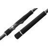 Graphiteleader Argento UX 24GARGUS-982M 2,95m Regular-Fast 7-40gr Lansetă de spinning din 2 piese