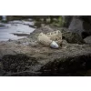 Matrix Plastic Orbit Feeder L 50gr Coș Feeder Lateral