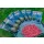 Guru Maggot Feeder Mini Coș pentru larve 20gr