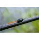 Guru Skimmer Wire 1,5gr Pluta de Competiție