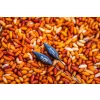 Guru Speed Carbon 0,8gr Plută de Competiție
