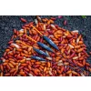 Guru Slim Maggot 0,35gr Plută de competiție
