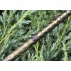 Lanseta Match Garbolino Essential X-Tend Match Hybrid 3,90-4,20m