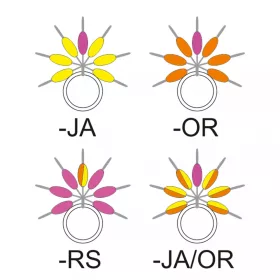   Garbolino - STREAMLINE DROP LINE VISUALIZER - Accesorii mici - Opritor - Opritor de cauciuc pentru păstrăv