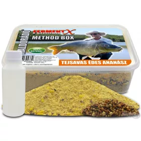 Haldorádó FermentX Method Box - Ananas Dulce Lactacid