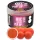 Haldorádó Max Motion Boilie Pop Up Alună Spaniolă 50gr 16-20mm Bojli