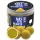 Haldorádó Max Motion Boilie Balanced Champion Corn 70gr 20mm Boilie