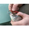 Haldorádó Catfish Rig 4 Lider pentru somn cu momeală vie ˝Haarmontage˝ 180cm