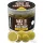 Haldorádó Max Motion Boilie Hard Hook Wafter 16, 20mm Champion Corn Boili de Momeală 100gr