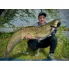 Haldorádó Catfish Rig 9 Pop-Up Forfac de pescuit la somn cu lipitori 100cm