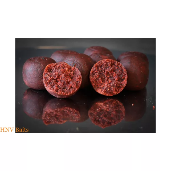 HNV Baits Red Spicy Squid 20mm Boilies 1kg