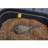 Korum Camo Grub Feeder Coș Naditor 60gr