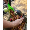 Korda Bait Scoop Etetőlapát