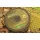 Korda Kamo coated Hooklink 80lb