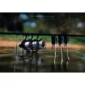   Korda Kaizen Platinum 3,60m 6in 4,00lb 2 Piese Lansetă de Crap