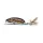 LUREFANS CC70 - Plutitor 12,5g/70mm, Wobbler cu cod de culoare 17 Brown Frog