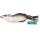 Livetarget Mouse Walking Bait Maro/Alb 6cm 11gr Momeală Artificială Șoarece