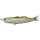 Livetarget Shiner Walking Bait Lămâie Verde Metalic 11,5cm 14gr Pește de cauciuc