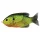 Livetarget Sunfish Walking Bait Florescent Pumpkinseed 7,5cm 12gr Pește soare Nalucă artificială