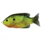 Livetarget Sunfish Walking Bait Florescent Pumpkinseed 7,5cm 12gr Pește soare Nalucă artificială