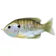 Livetarget Pește soare Momeală de suprafață Natural/Oliv Bluegill 90Mm 18 G