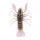Livetarget Rac Dezasamblat Natural-Dovleac 7,1cm Scufundător Rac din Plastic 6db