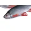 Fox Rage Ultra Natural Roach Fillet 8cm Plasztik Csali 4db