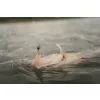 Fox Rage Scent Shads Bulk Nat Wakasagi 9cm Nălucă de plastic