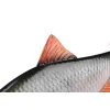 Fox Rage Ultra Realistic Roach Replicant Momeală din Plastic Roșioară 14cm 45gr
