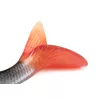 Fox Rage Ultra Realistic Roach Replicant Momeală din Plastic Roșioară 14cm 45gr