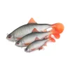 Fox Rage Ultra Realistic Roach Replicant Momeală din Plastic Roșioară 14cm 45gr