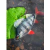 Fox Rage Ultra Realistic Perch Replicant Momeală Plastic Biban 14cm 52gr