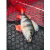 Fox Rage Ultra Realistic Perch Replicant Momeală Plastic Biban 18cm 100gr