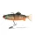 Fox Rage Jointed Replicants 32cm Orange Belly Perch UV Nălucă artificială