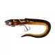 Fox Rage Slick Eel Loaded 21cm Burbot Naluci din plastic