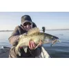 Fox Rage Bulk Loaded Slick Shads UV Arkansas Shiner 9cm 2/0 10gr Momeală Plastic
