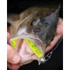 Fox Rage Bulk Loaded Zander Pro Shads UV Lemon Tiger 7,5cm 1/0 5gr Momeală Plastic