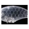 OSP Blitz Max 6,2cm 12,5gr G01 Ghost Minnow Wobbler