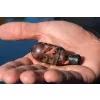 Preston Carp Maggot Feeder S 20gr Coș Naditor pentru Viermi