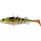 WESTIN Stanley the Stickleback Shadtail 7,5cm 4g - Pearl Stickleback 6 buc/set Nălucă de plastic