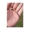 Preston Feeder Links Stiff Short 60mm Anti-tangle 2buc