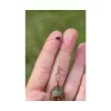 Preston Feeder Links Soft Short 55mm Anti-tangle 2buc