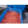 Preston 6Pt Bait Tub Cutie de Momeală